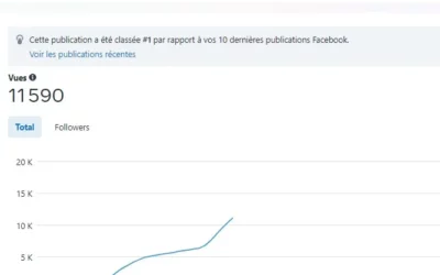 + 14 000 vues en moins de 14h sans achat de visibilité
